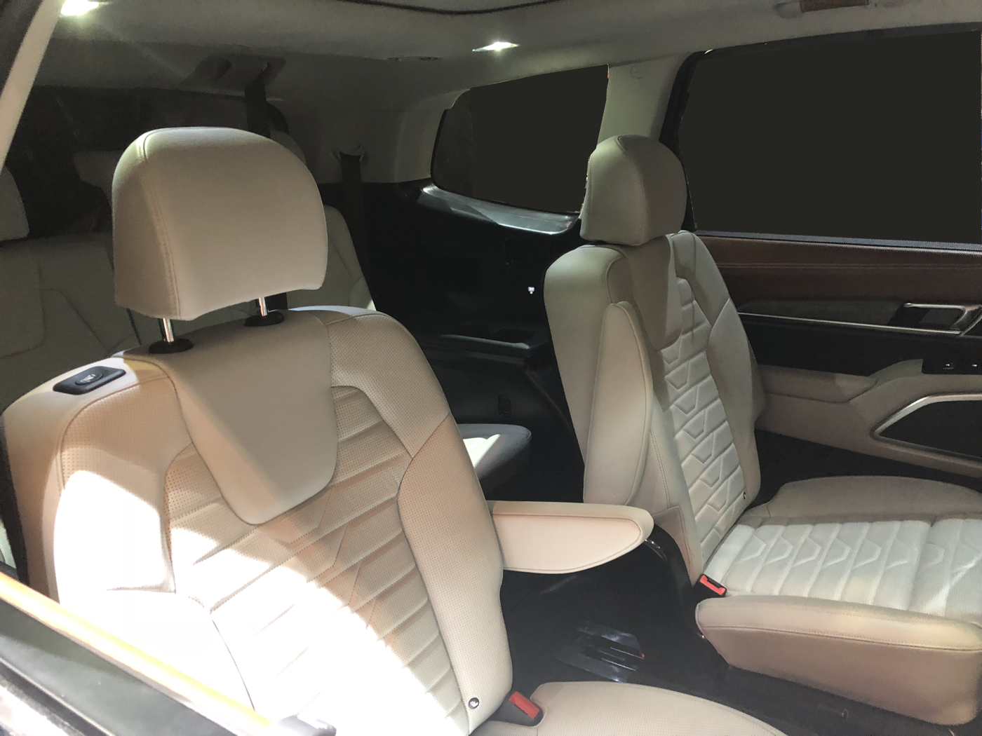 Kia Telluride Concept Rear Seats